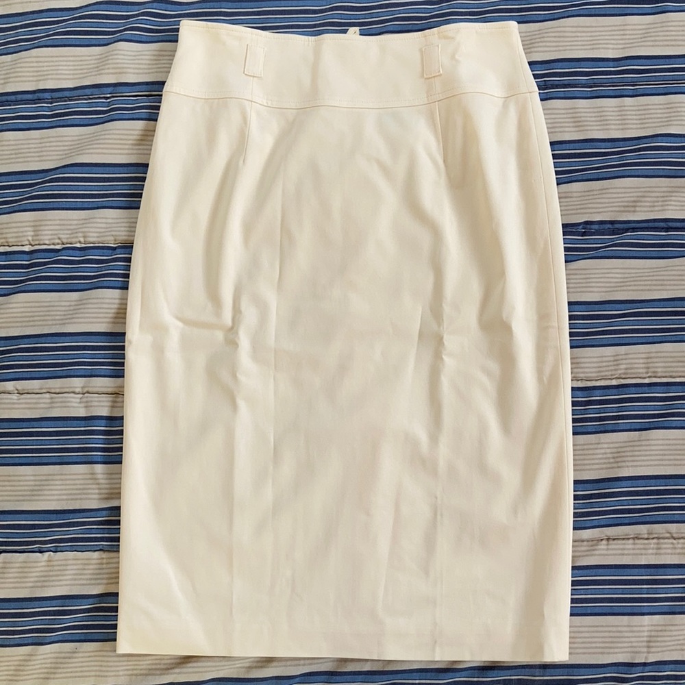 Talbots Skirt